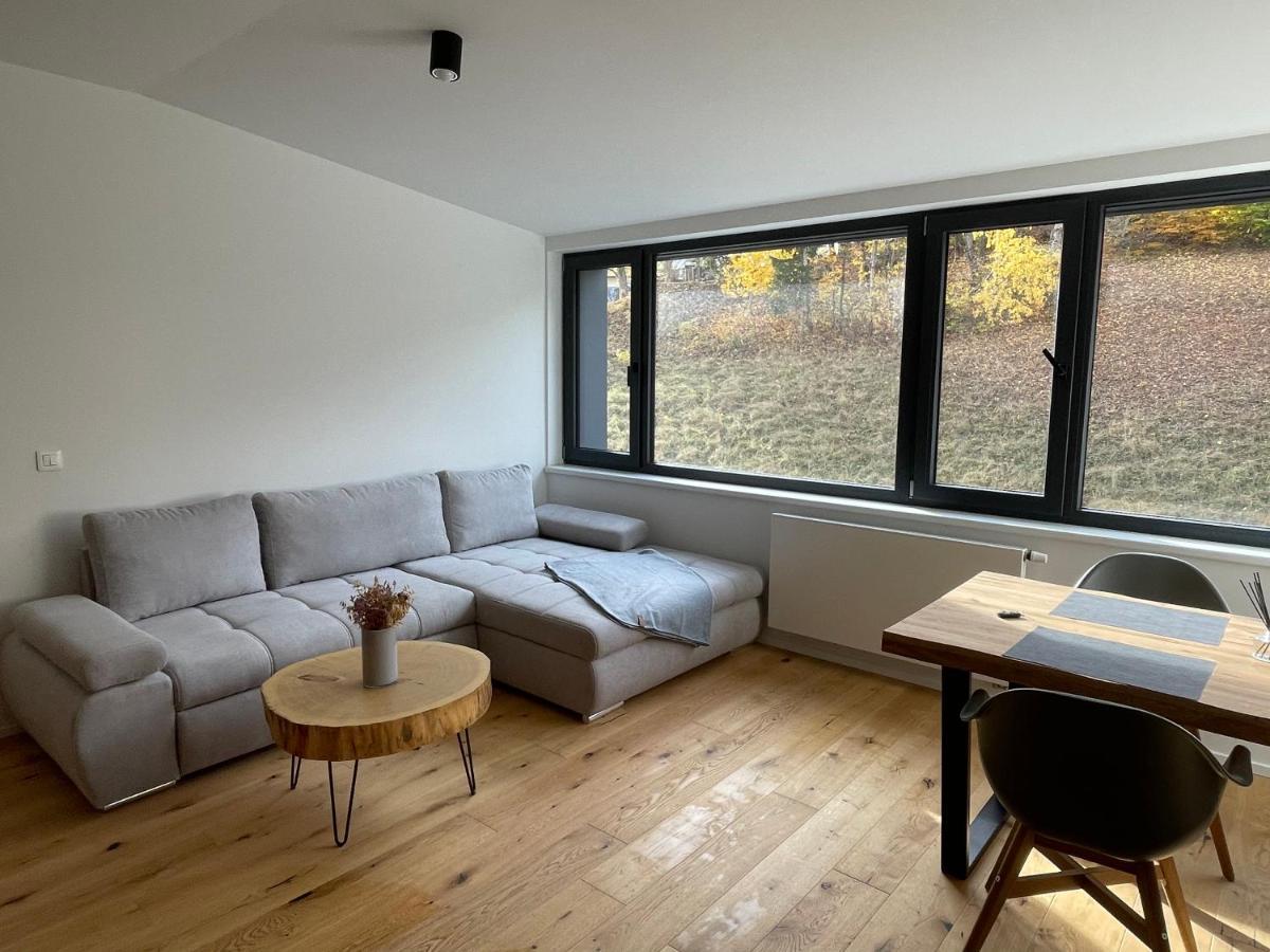 Ski&Bike Horsky Apartman 502 Janske Lazne Exterior foto